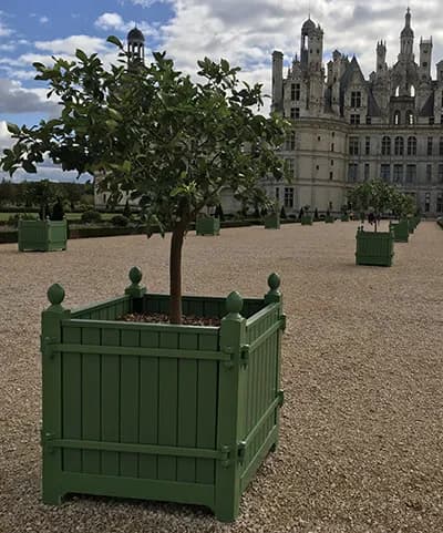 Orange tree planter Castellum